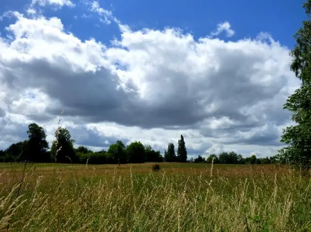 Fields at Lower Broadheath