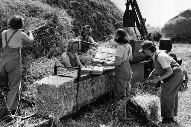 Women's Land Army were photographed using a baling machine to bale hay on a farm in west Suffolk in 1942