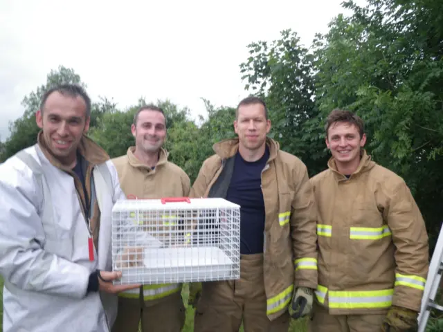 Firefighters with cat