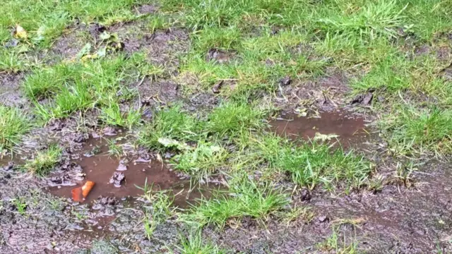 Part of the flooded garden