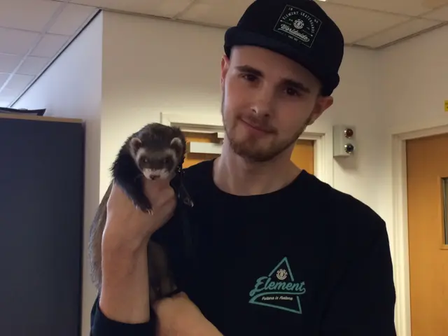 Bandit, the ferret