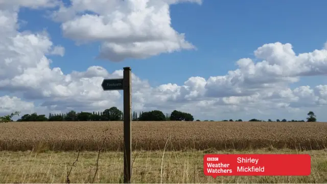 Field of crops in Mickfield