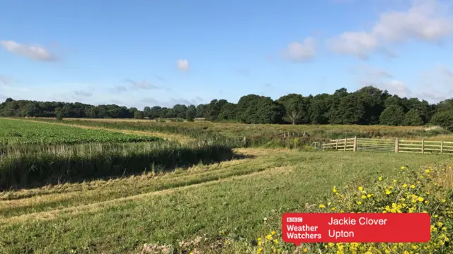 Blue sky over grassland