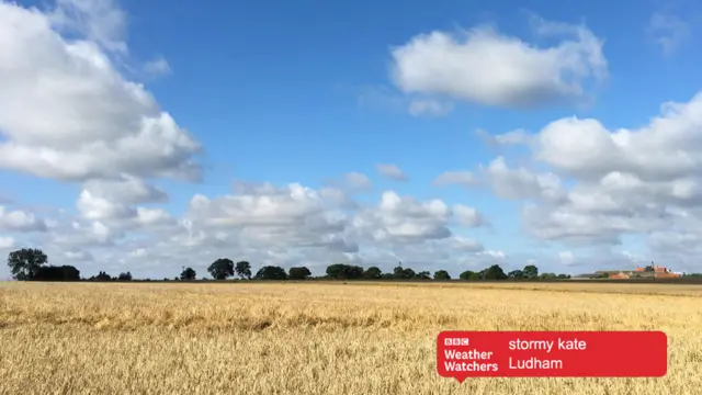 Blue sky and clouds over cornfield