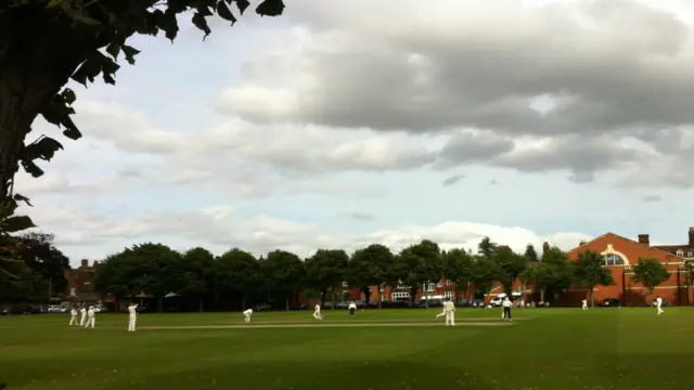 Suffolk cricket match in progress