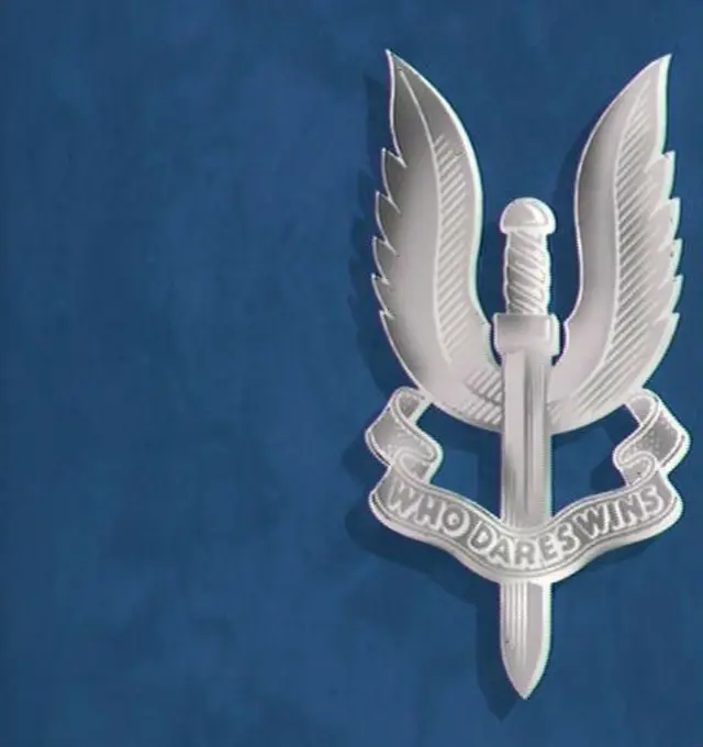 SAS badge