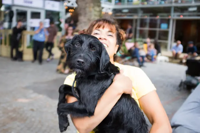 Dogs Of Festival Square