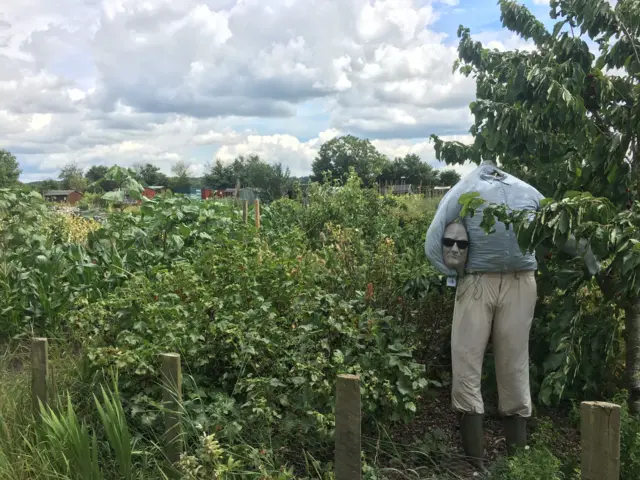 Wellesbourne allotment site