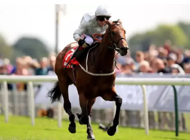 Permian trained by North Yorkshire trainer Mark Johnston