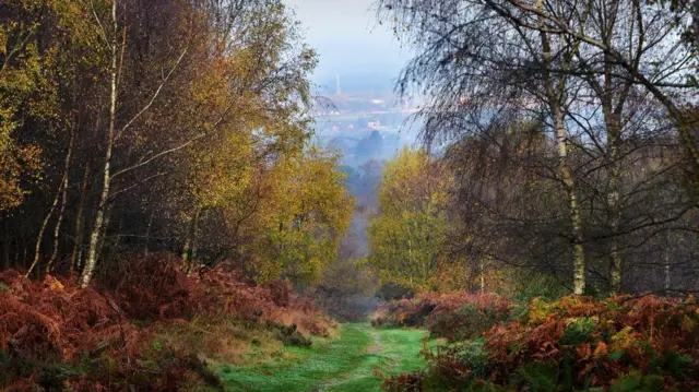 Cannock Chase