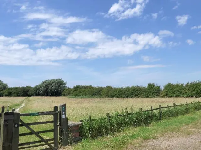 Gate and field at Far Ings Nature Reserve