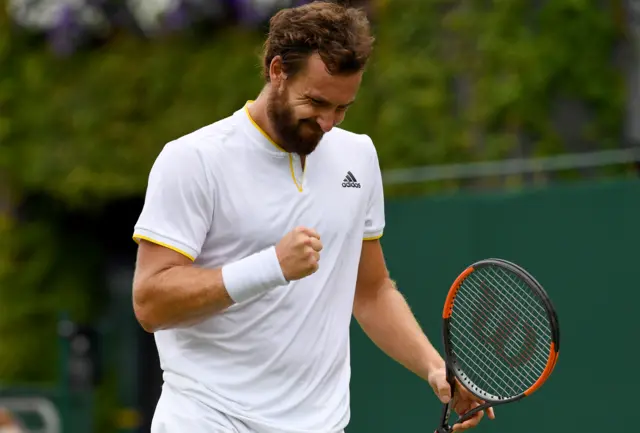 Gulbis