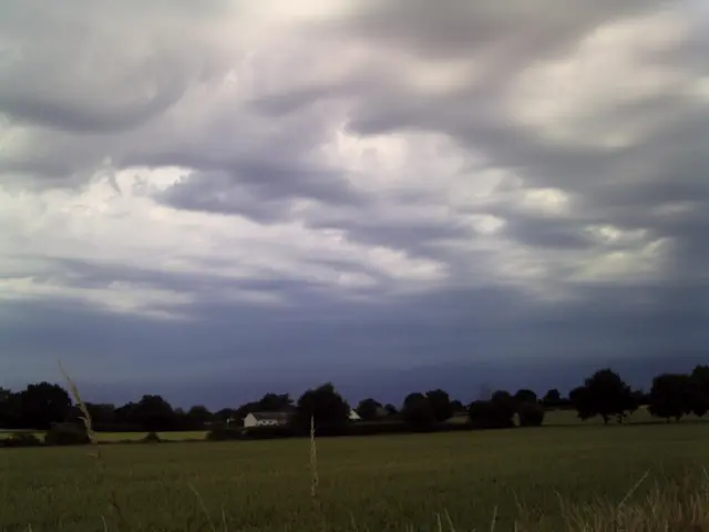 Fields at Stanningfield