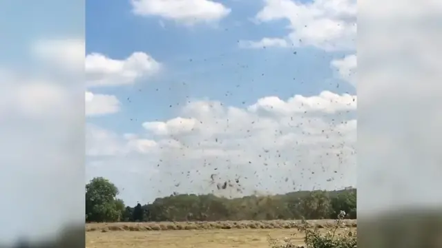 Dust devil