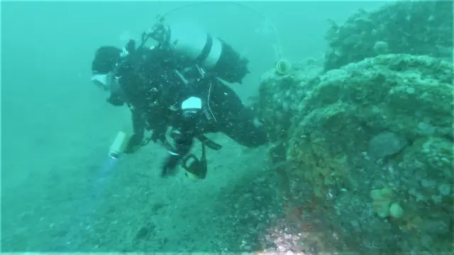 Diver inspecting ships