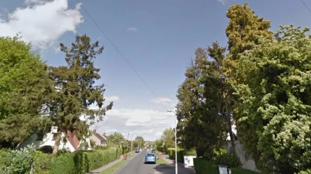 Whitehorn Lane