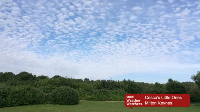 BBC Weather Watchers