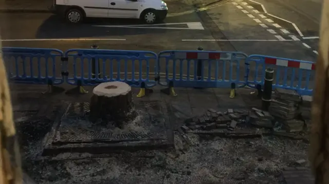 Tree stump after being cut down on Stockwell Street