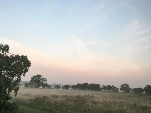 Field and mist in Harswell