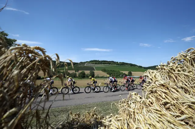 The peloton