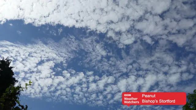 Bishop's Stortford