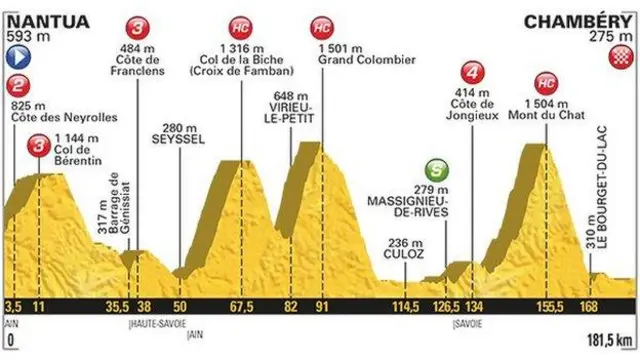 Tour de France stage nine