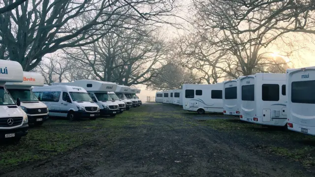 Lions campervans