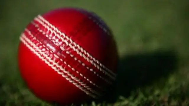 Cricket ball