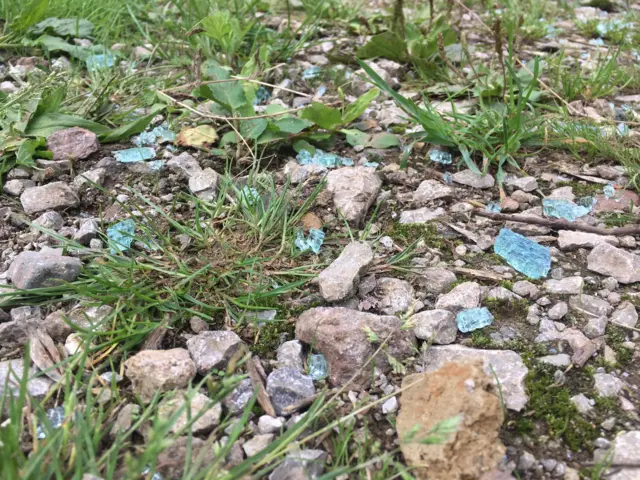 Broken glass at a nature reserve