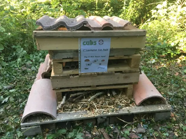 Bug hotel