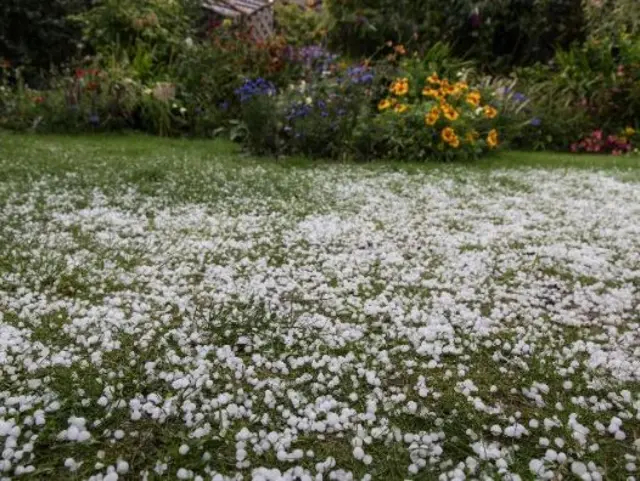 Hail on the grass