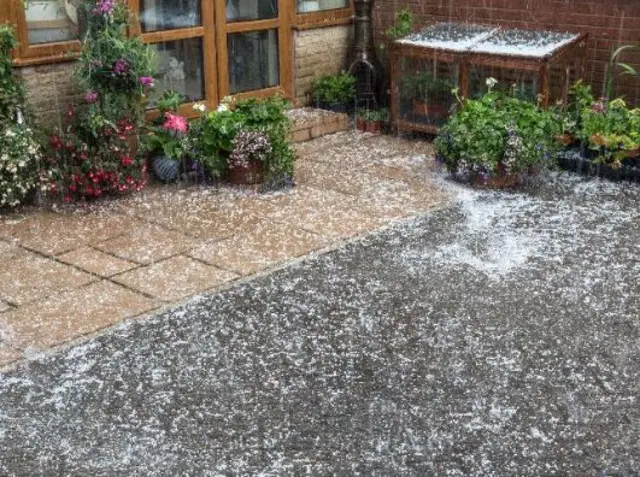 Hail on a patio and rabbit hutch