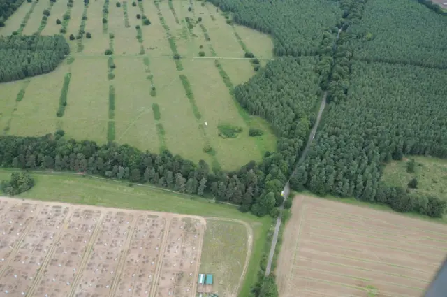 Bird's eye view of the murder scene