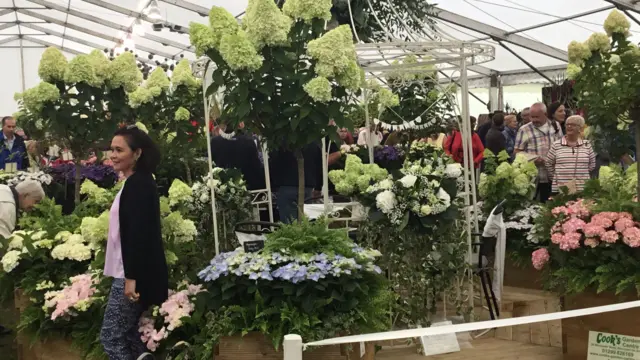 Flower show marquee