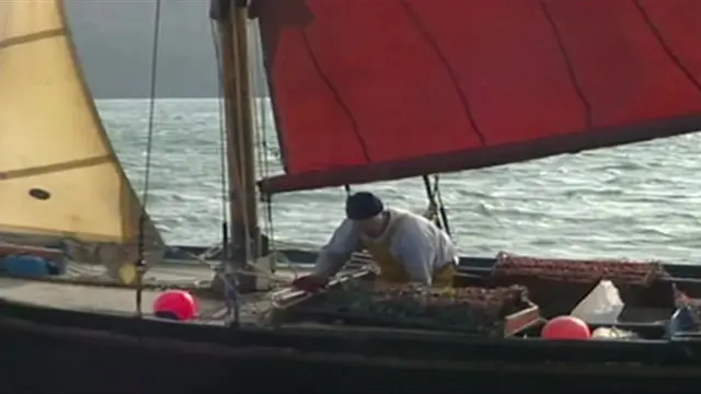 Oyster fishing