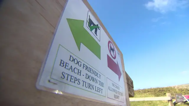 Dogs on beach sign