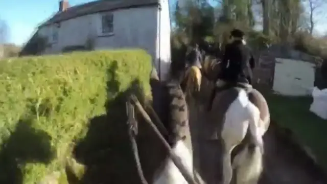 North Cornwall Hunt. Pic: Amanda Carpenter