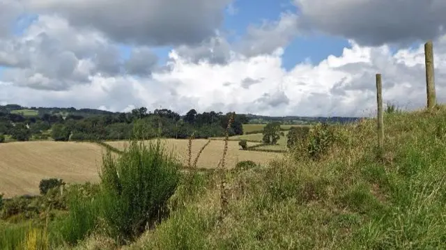 Fields near Oswestry