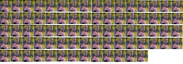 lee cattermole