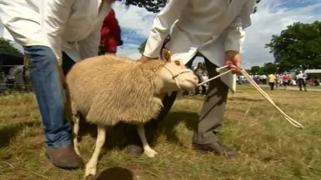 Burwarton Show