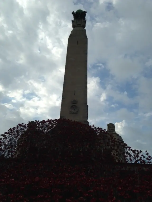 Wave of poppies