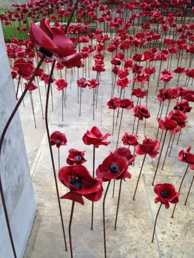 Wave of poppies