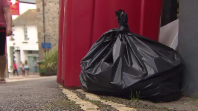 Bin bag