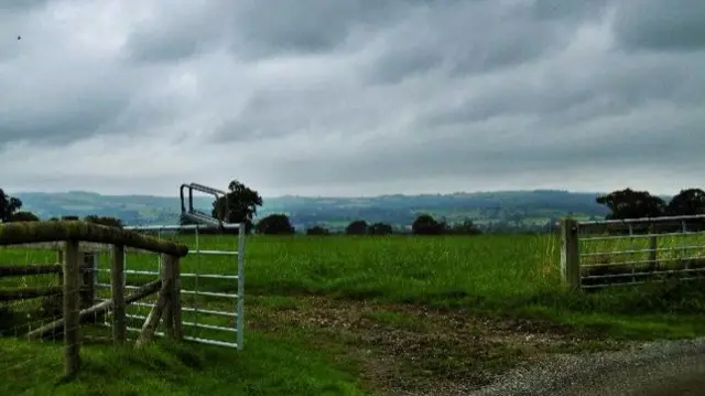 Cloudy field