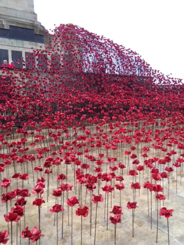 Wave of poppies