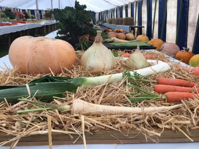 Vegetables in display tent