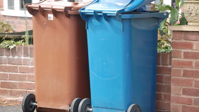 Bins in Stafford