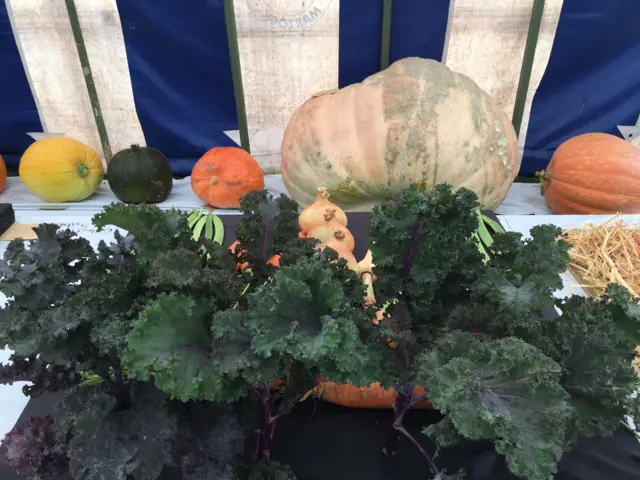 Vegetables in display tent