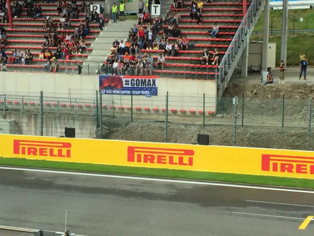 Max Verstappen fans