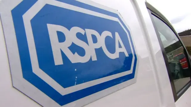 The RSPCA were also called to the incident